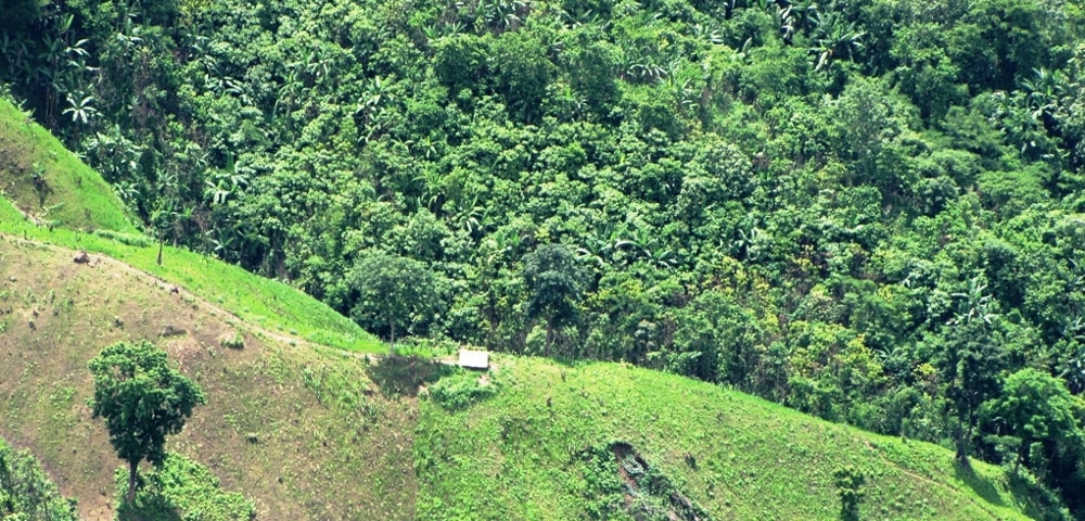 Feasibility Study Climate Change Adaptation Programme Unique Land Use