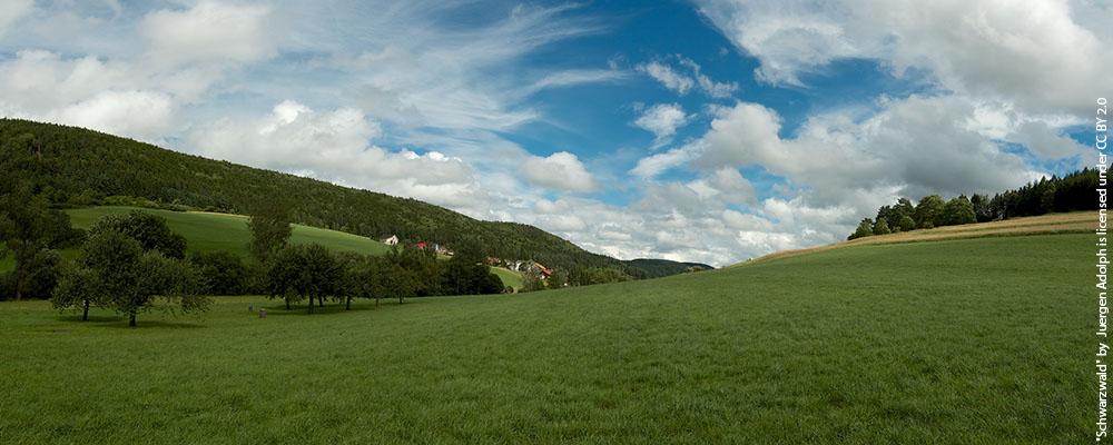 Landschaft und Klimawandel - Strategien Südschwarzwald