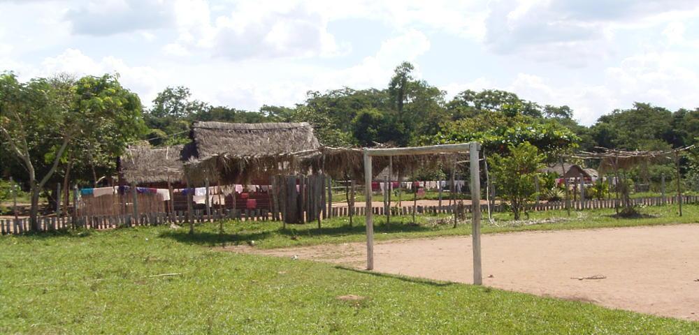 Best practices kommunale Waldwirtschaft