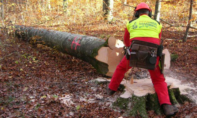Biomasseertrag aus land- und forstwirtschaftlichen Reststoffen