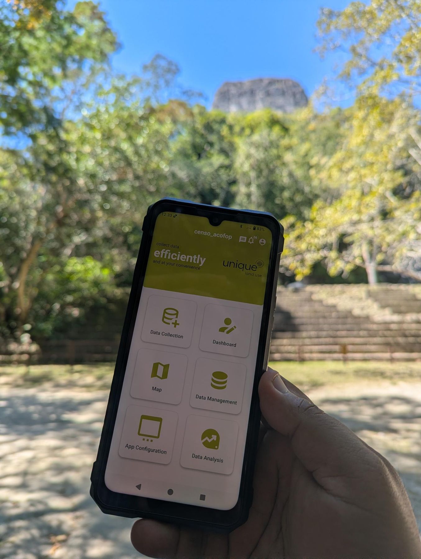 Digital Forest Census – APP and Dashboard