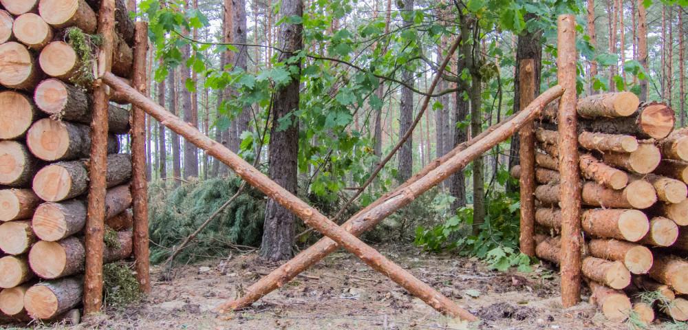 Evaluation im forstwirtschaftlichen Landesbetrieb