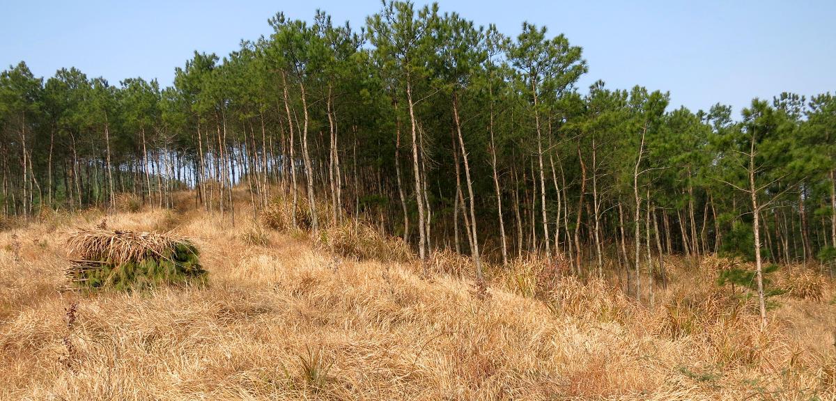 Erkundungsmission für einen Biodiversitätskredit