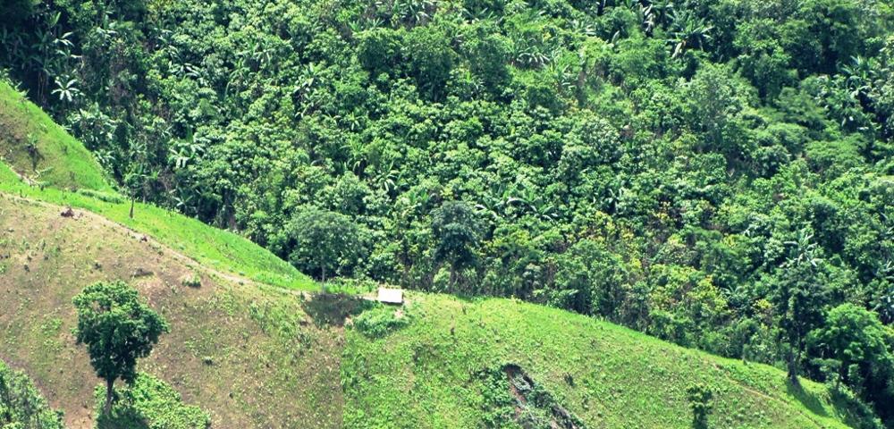 Machbarkeitsstudie "Klimaanpassungsprogramm in Tripura"