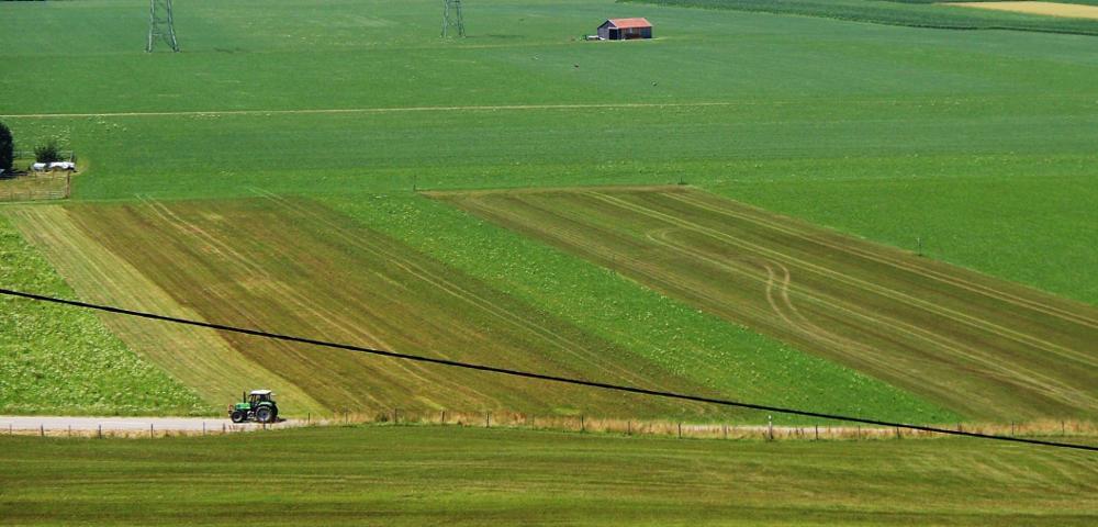 Grundlagenuntersuchung zur Naturraumplanung