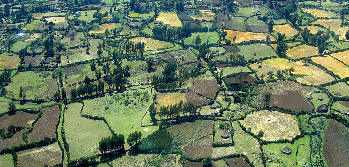 Kohlenstofffinanzierung in der nachhaltige Landnutzung