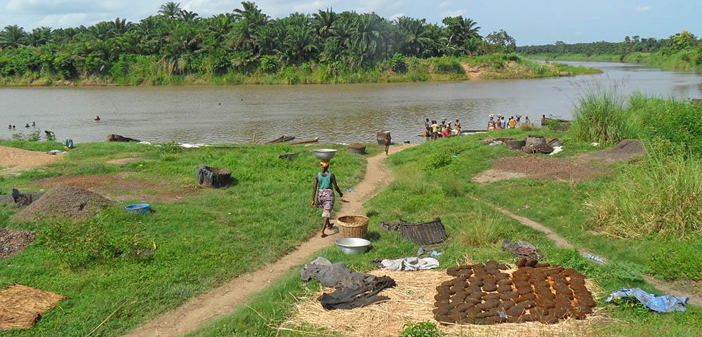 Nationale Forstinventur und Waldrehabilitierung