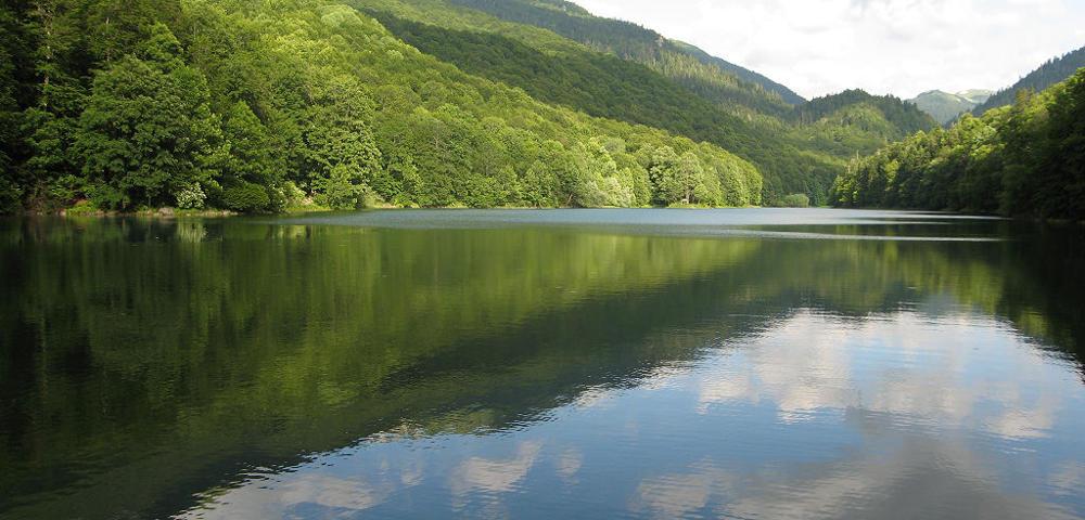 Nationale Forststrategie und Einführung von Natura 2000