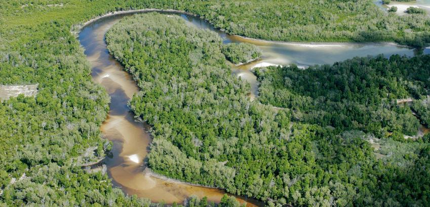 Privatsektor-Investitionen für klimafreundliche Projekte