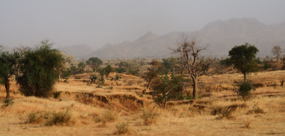 Projektidentifizierung für 'AFR100 Kamerun'