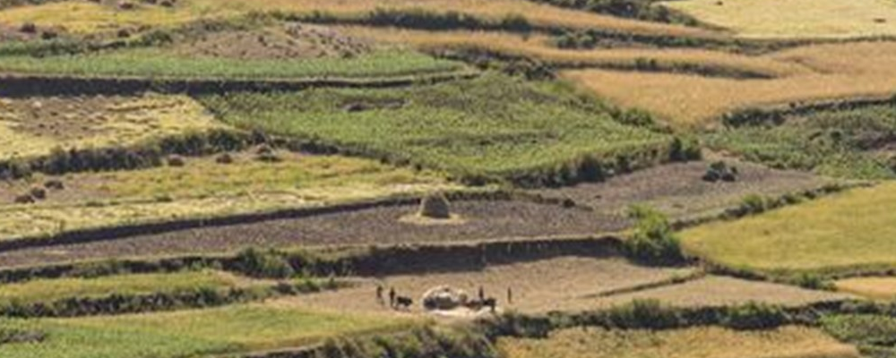 Review GIZ Portfolio Landwirtschaft, Ernährungssicherheit und Biodiversität
