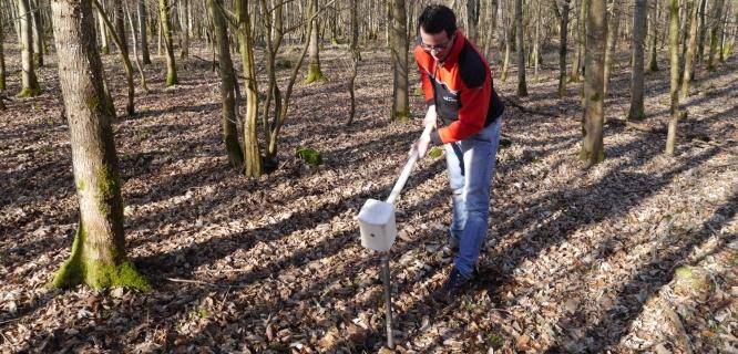 Schriesheim Bodengutachten Bestattungswald