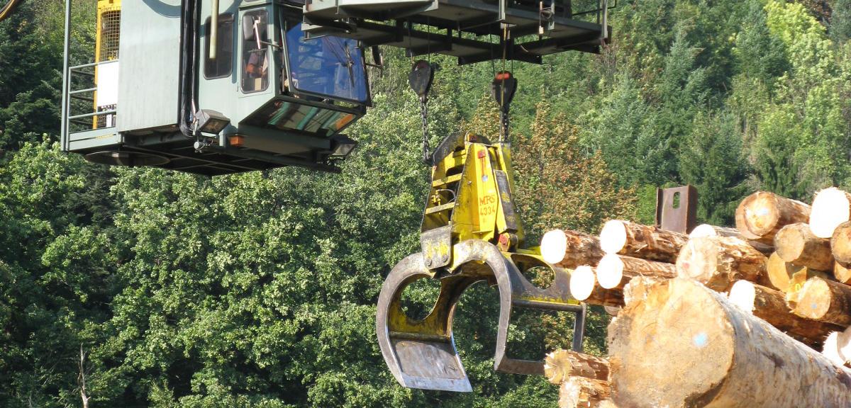 Studie zur Sägeindustrie in Baden-Württemberg