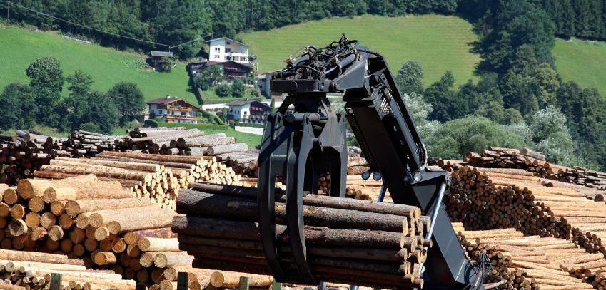 Struktur- und SWOT-Analyse des Clusters Forst und Holz Baden-Württemberg